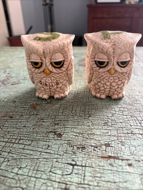 Vintage Other - Vintage 1970s Ohio Owl Ceramic Salt & Pepper Shakers Retro Kitsch